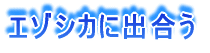 ˽й礦