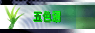 ޿