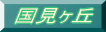 񸫥 