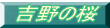 κ 